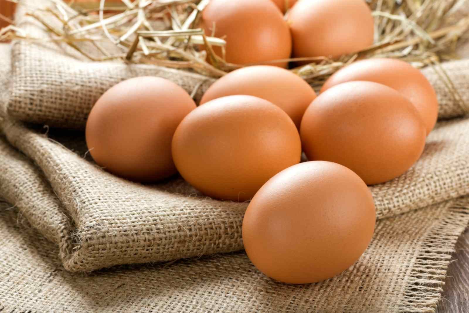 1e221266-shutterstock-113786020-1-1686818463.jpg