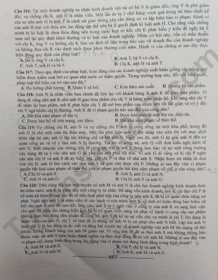 313-3-1688017223.jpg