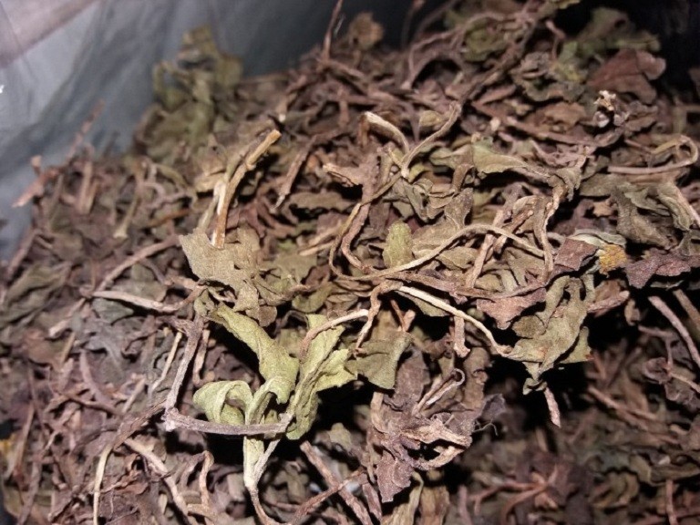 tac-dung-cay-sai-dat-2-1689220592.jpg