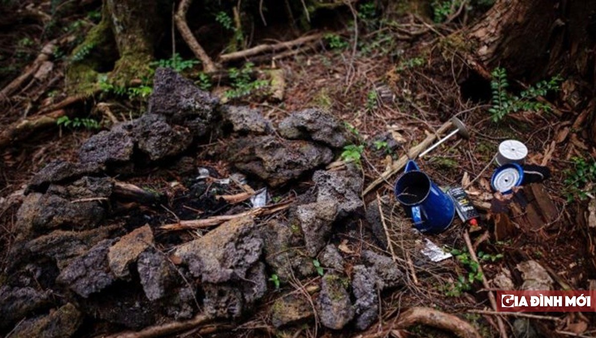 lang-mo-aokigahara-nhat-1694681598.jpg