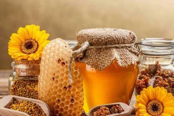 Những lợi ích tuyệt vời của mật ong đối với sức khỏe con người