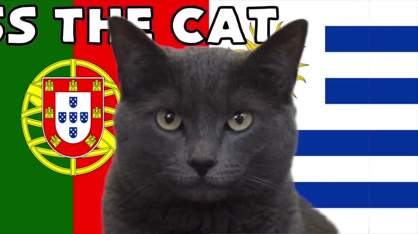 portugal-uruguay-cass-the-cat-predicts-mp4-1669567377-width1920height1080-480p-1669625079.mp4