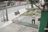 Clip: Vừa dắt bò ra cổng, người đàn ông gặp cảnh đáng sợ khiến ai xem cũng rùng mình