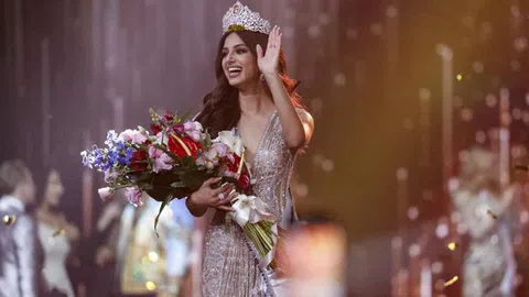 Người đẹp Ấn Độ đăng quang Miss Universe 2021, đang làm diễn viên và học thạc sĩ