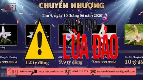 Nhiều người trình báo bị lừa khi mua lan đột biến giả, số tiền lên đến chục tỷ