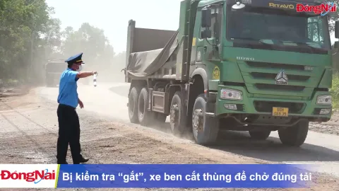 Bị kiểm tra 'gắt', xe ben cắt thùng để chở đúng tải