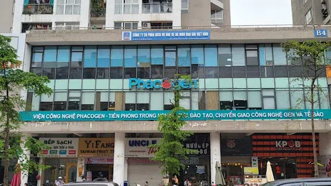 Hà Nội: Hàng loạt nhà thuốc, công ty dược vi phạm bị xử phạt