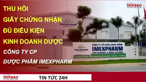 Bộ Y tế thu hồi Giấy chứng nhận đủ điều kiện kinh doanh dược của Công ty Imexpharm