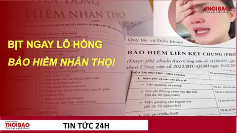 Từ chuyện diễn viên Ngọc Lan: Bịt ngay lỗ hổng bảo hiểm nhân thọ!