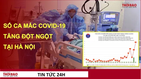 CDC Hà Nội giải thích về số ca mắc Covid-19 tăng đột ngột trong những ngày qua