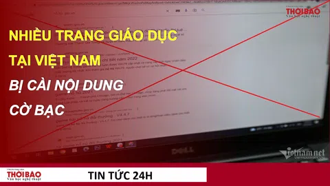 Gần 170 trang giáo dục tại Việt Nam bị cài nội dung cá độ, cờ bạc