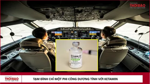 Tạm đình chỉ một phi công dương tính với ketamine