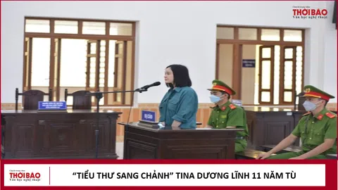 'Tiểu thư sang chảnh' Tina Dương lĩnh 11 năm tù