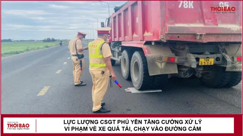 Lực lượng CSGT Phú Yên tăng cường xử lý vi phạm về xe quá tải, chạy vào đường cấm