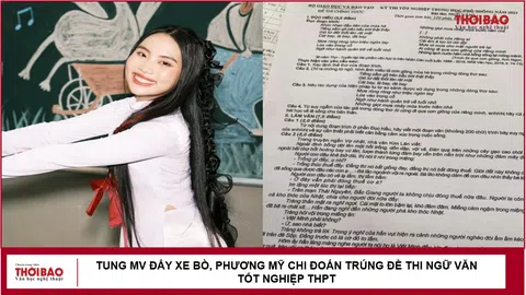 Tung MV Đẩy Xe Bò, Phương Mỹ Chi đoán trúng đề thi Ngữ văn tốt nghiệp THPT