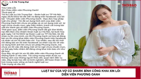 Luật sư của vợ cũ Shark Bình công khai xin lỗi diễn viên Phương Oanh