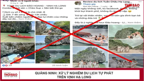 Quảng Ninh: Xử lý nghiêm du lịch tự phát trên vịnh Hạ Long