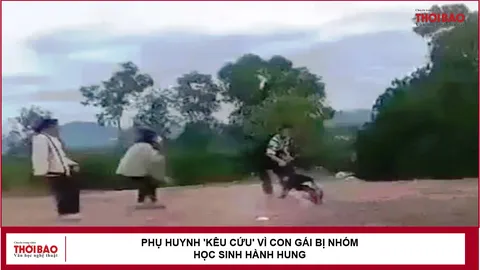 Phụ huynh 'kêu cứu' vì con gái bị nhóm học sinh hành hung