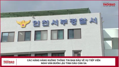 Các hãng hàng không thông tin ban đầu về vụ tiếp viên nghi vấn buôn lậu tinh dầu cần sa