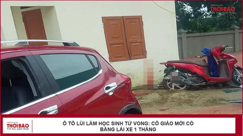 Ô tô lùi làm học sinh tử vong: Cô giáo mới có bằng lái xe 1 tháng