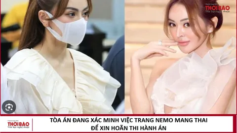 Tòa án đang xác minh việc Trang Nemo mang thai để xin hoãn thi hành án