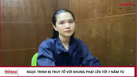 Ngọc Trinh bị truy tố với khung phạt lên tới 7 năm tù