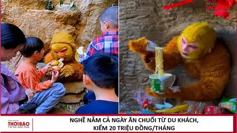 Nghề nằm cả ngày ăn chuối từ du khách, kiếm 20 triệu đồng/tháng