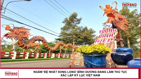 Ngắm 'đệ nhất song long' Bình Dương đang làm thủ tục xác lập kỷ lục Việt Nam