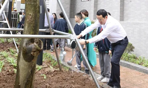 Làm xanh thêm không gian sống trên địa bàn Giảng Võ