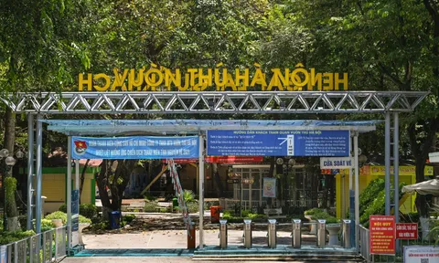 Những con thú được chăm sóc đặc biệt trong dịch Covid-19