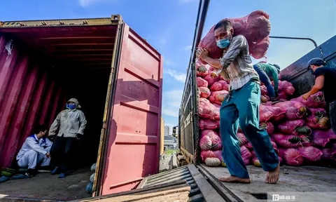 Chuyển gần 300 tấn lương thực chi viện miền Nam