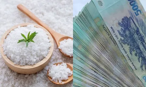 Chỉ cần vài nghìn đồng ra chợ mua thứ này đặt trong nhà đảm bảo gia chủ hút tài lộc, tiền tiêu không hết