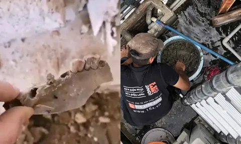 Sửa ống nước, người đàn ông bủn rủn chân tay khi sờ phải thứ vô cùng kinh dị chưa từng thấy trong đời