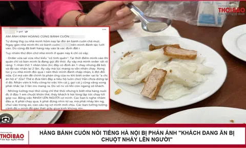 Hàng bánh cuốn nổi tiếng Hà Nội bị phản ánh "khách đang ăn bị chuột nhảy lên người"