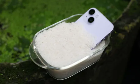 Điện thoại iPhone bị ướt, cho vào thùng gạo để hút ẩm có đúng không?