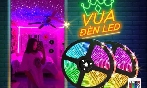 Vua Đèn LED cung cấp đèn trang trí cho nội thất độc đáo và ấn tượng