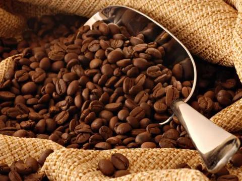 Giá cafe hôm nay 7/7: Thị trường trong nước sụt giảm liên tiếp