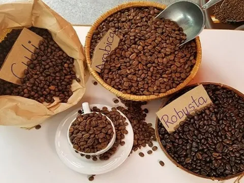 Giá cafe hôm nay 11/7: Thị trường trong nước và thế giới sụt giảm cùng lúc