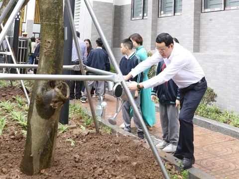 Làm xanh thêm không gian sống trên địa bàn Giảng Võ