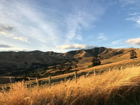 New Zealand lãng mạn trong mắt cô gái Việt