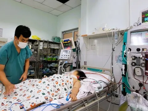 Số ca tử vong cao, Tp.HCM điều trị sốt xuất huyết theo mô hình chống dịch Covid-19