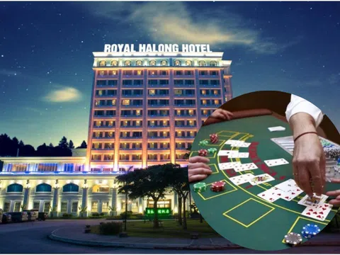 Ông chủ casino Royal Hạ Long ngậm ngùi ôm khoản lỗ tới 355 tỷ đồng