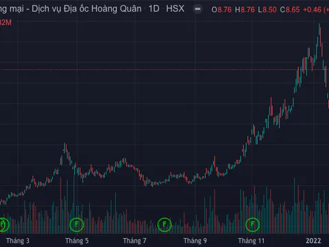 Ông trùm nhà xã hội muốn phát hành 218 triệu cổ phiếu để hoán đổi nợ