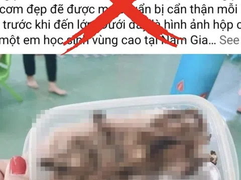 Bị phạt 7,5 triệu đồng vì đăng tin sai sự thật, "học sinh ăn cơm với thịt chuột"