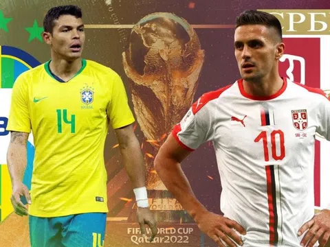 “Mèo tiên tri” và “thần rùa” dự đoán kết quả trận Brazil và Serbia