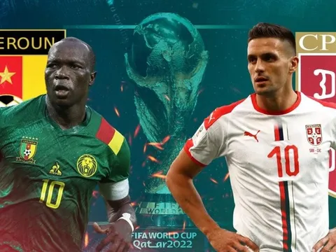 “Mèo tiên tri” và chuyên gia dự đoán kết quả trận Cameroon và Serbia