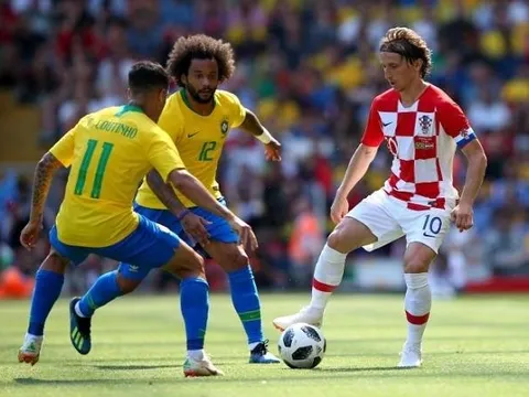 “Mèo tiên tri” và “thần rùa” dự đoán bất ngờ về trận Croatia và Brazil