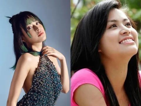 Hoàng Thùy Linh bị một fan nam 'bắt đền' vì gặp sự cố trong lúc xem nữ ca sĩ hát