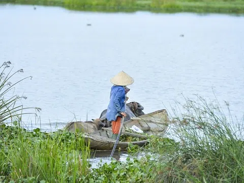 Độc lạ ngôi nhà hình trái tim nổi tiếng nhất nhì Việt Nam mà có thể bạn chưa biết