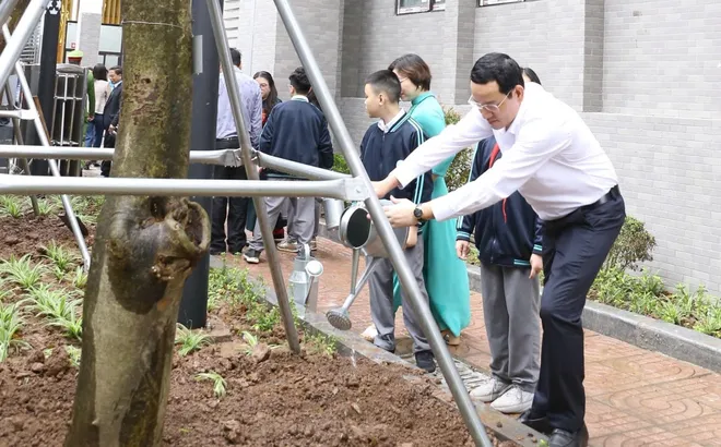 Làm xanh thêm không gian sống trên địa bàn Giảng Võ